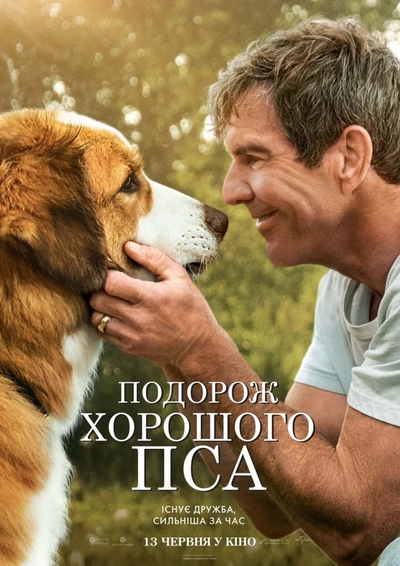 Дивитися Подорож хорошого пса (2019)